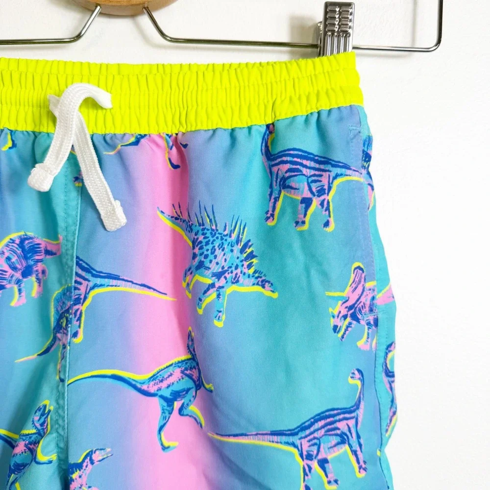 Chubbies Swim Trunks Boys Size 5/6 Blue Pink Ombre Neon Dinosaur Print Shorts